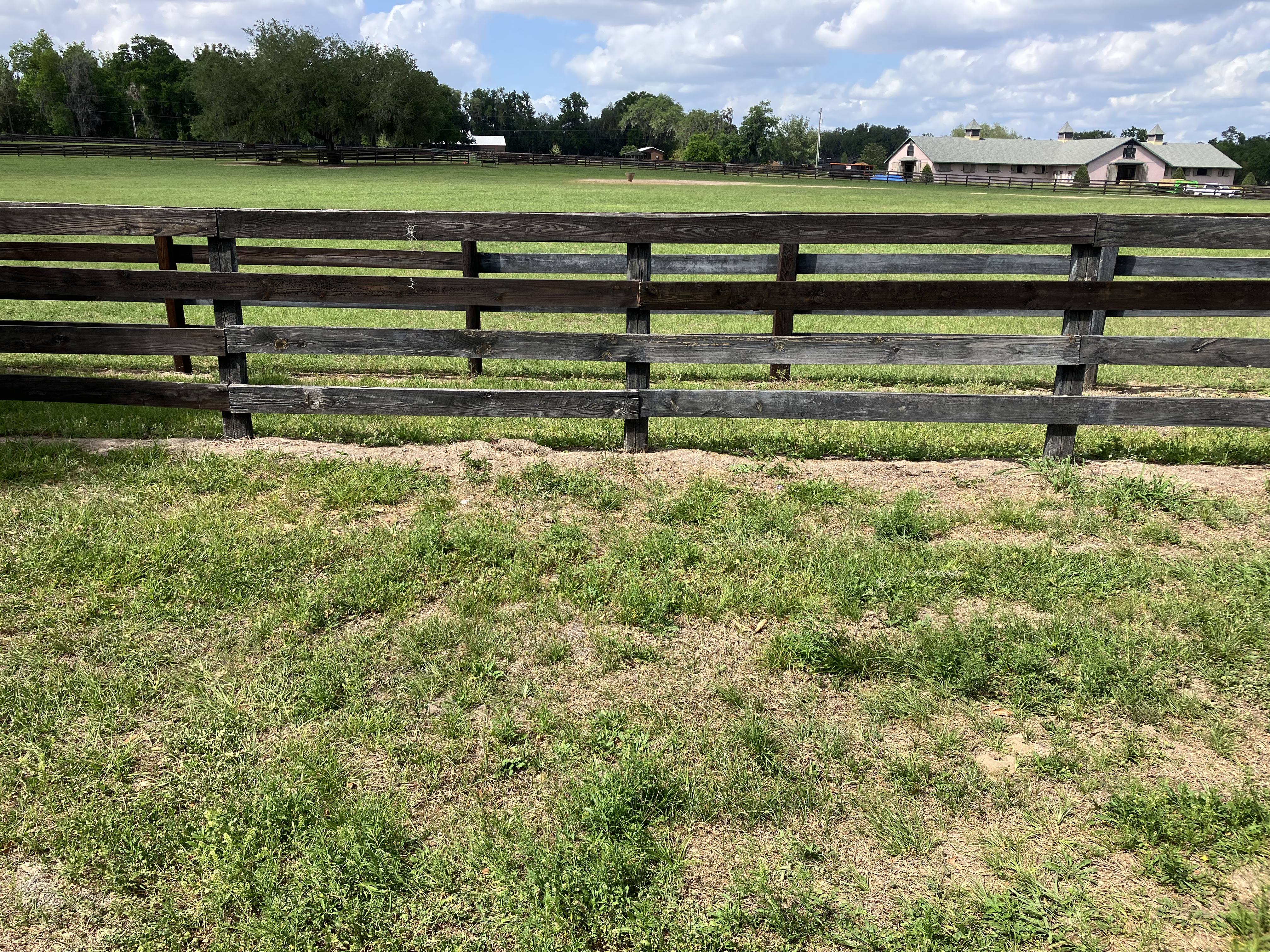 Close up post and board fence with horses in pasture