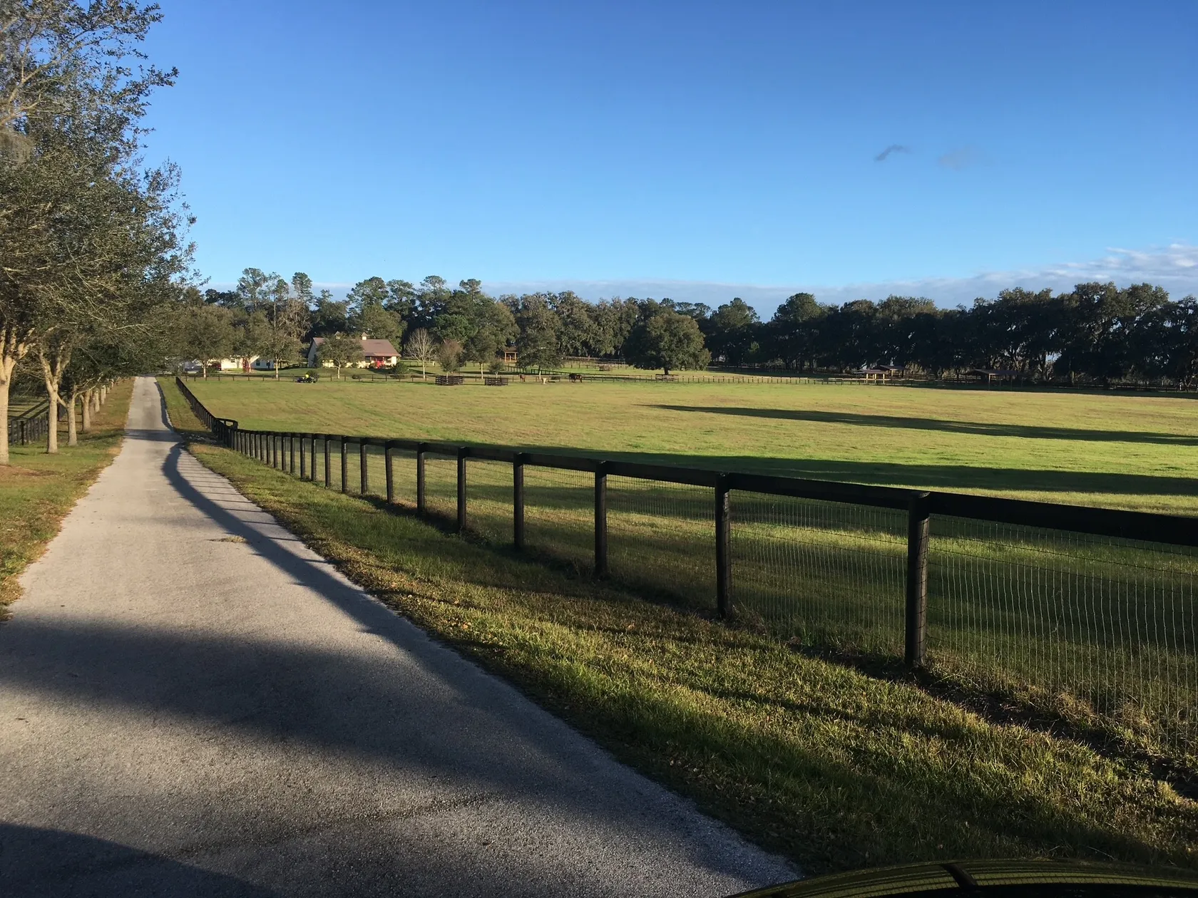 Driveway fence line at golden hour